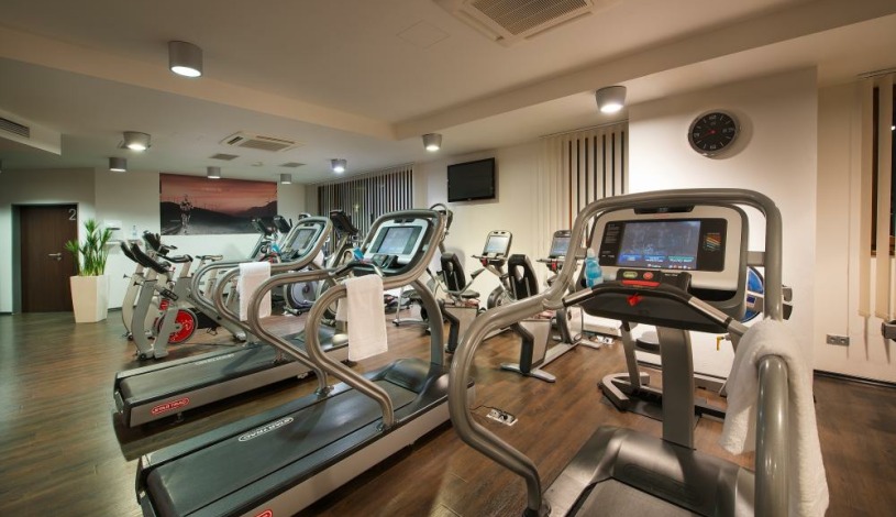 Wellness Hotel Diamant Hluboká nad Vltavou - Apartmá, Standard pokoj